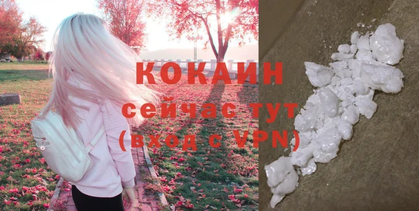 дживик Волоколамск