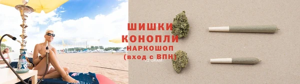 индика Бронницы