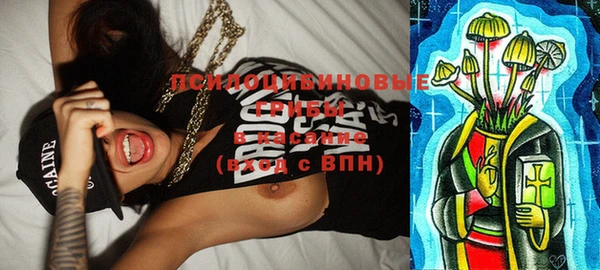 МДПВ Верея