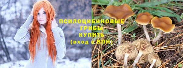 МДПВ Верея