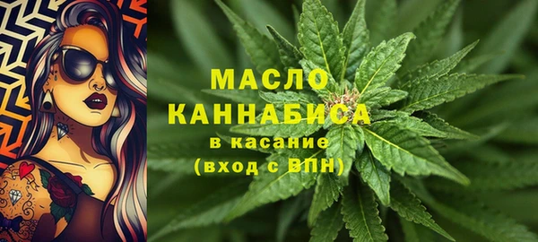 ECSTASY Вяземский