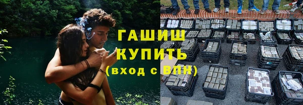 индика Бронницы