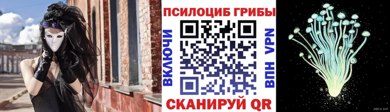 hydra сайт  Железноводск  Псилоцибиновые грибы Magic Shrooms 